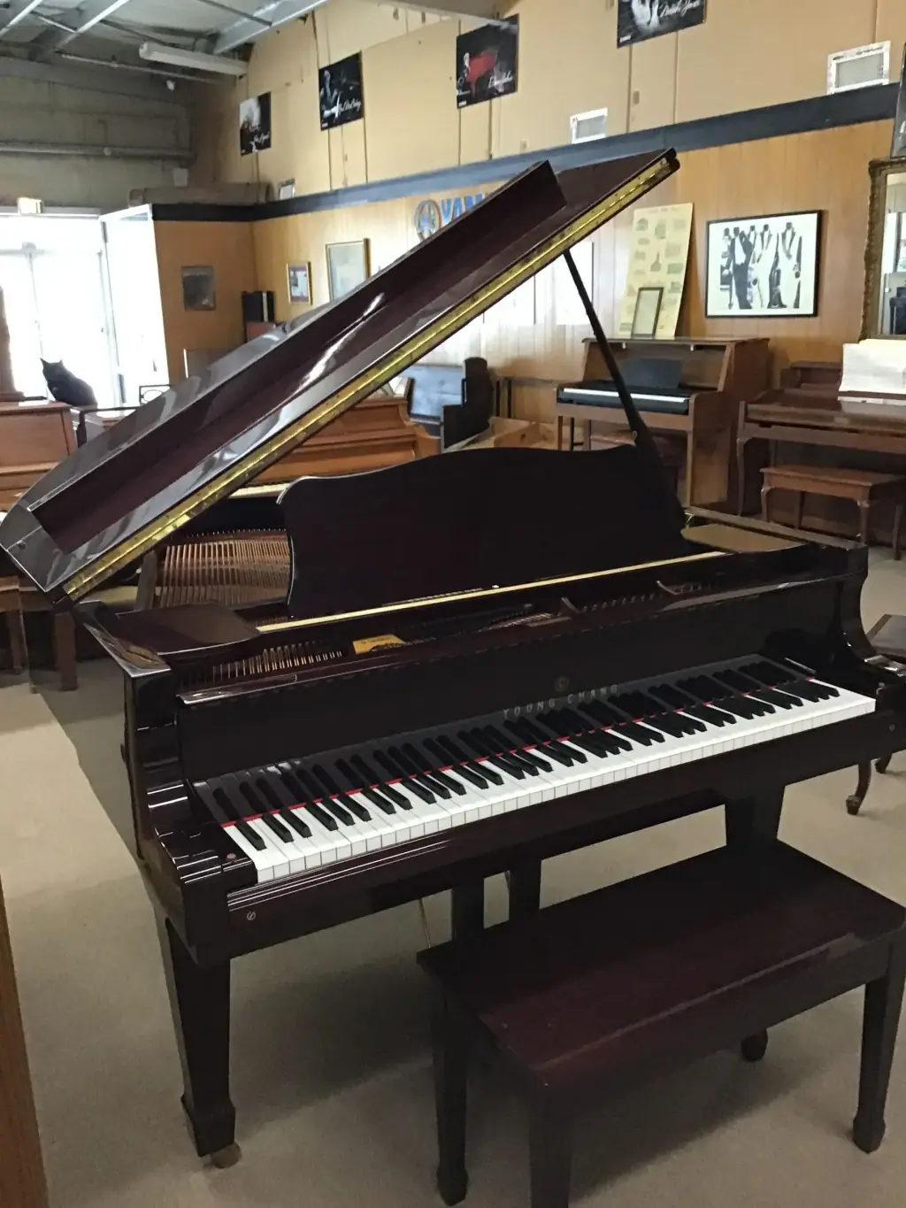 Showroom baby grand